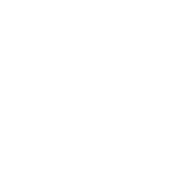 Flipbird