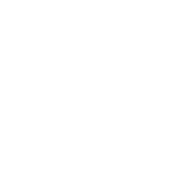 Flipbird